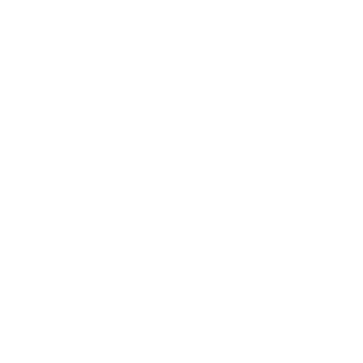 Bank Transfer